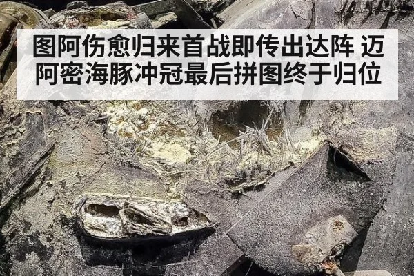图阿伤愈归来首战即传出达阵 迈阿密海豚冲冠最后拼图终于归位